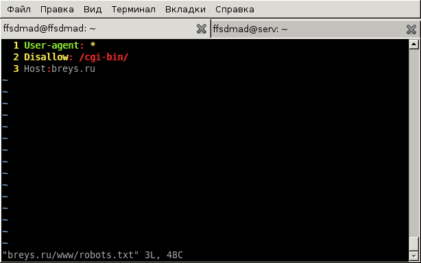 изменение имени сайта через robots.txt